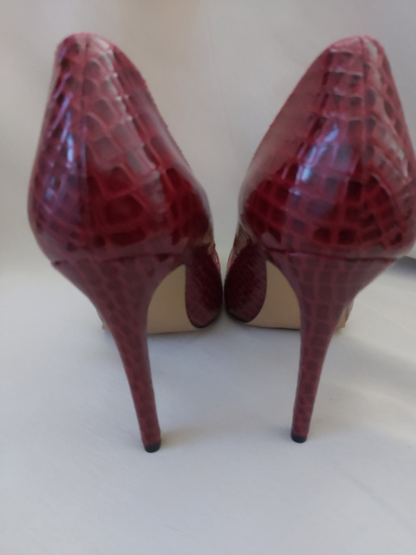 Talons rouge reptile