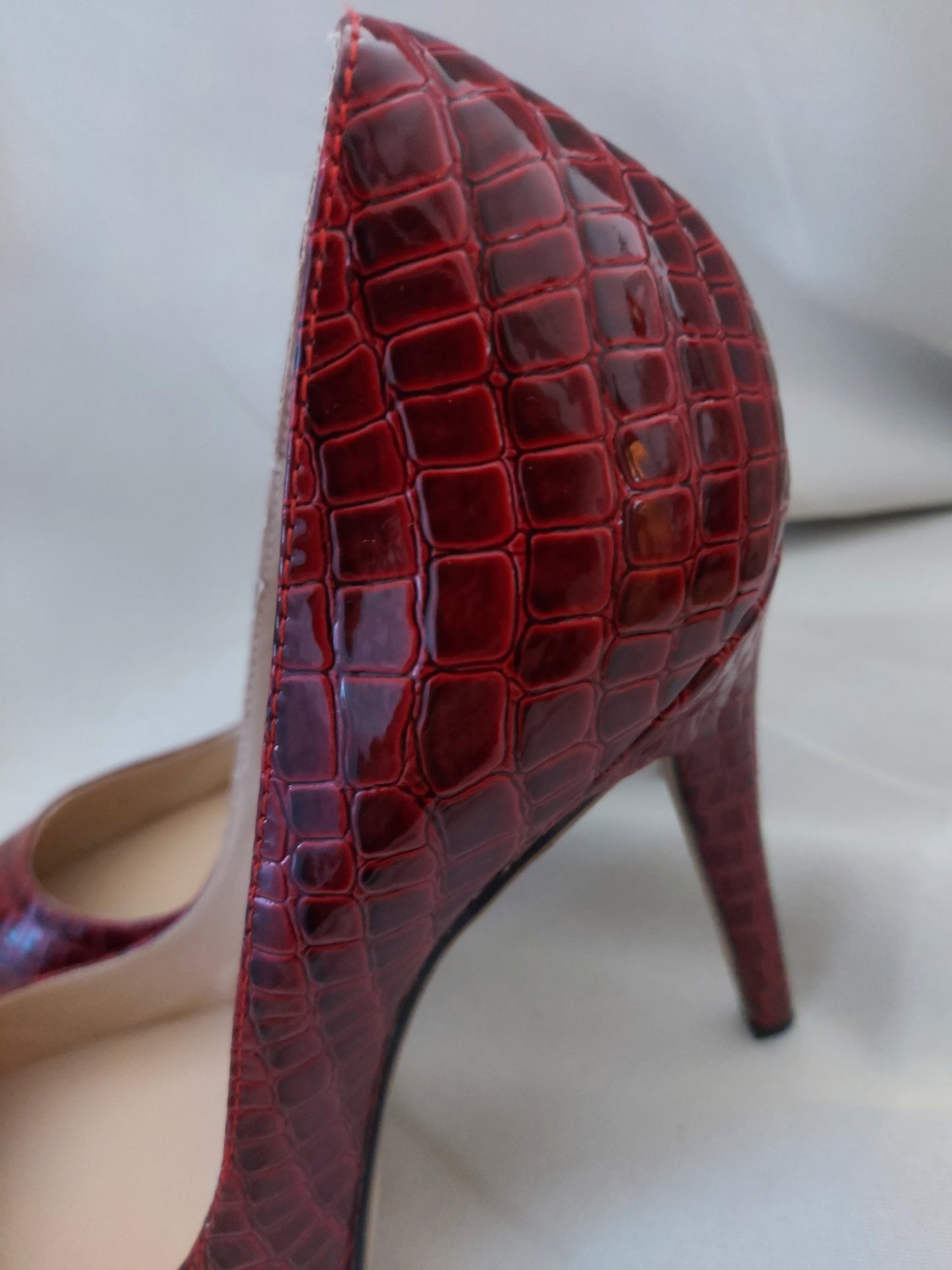 Talons rouge reptile