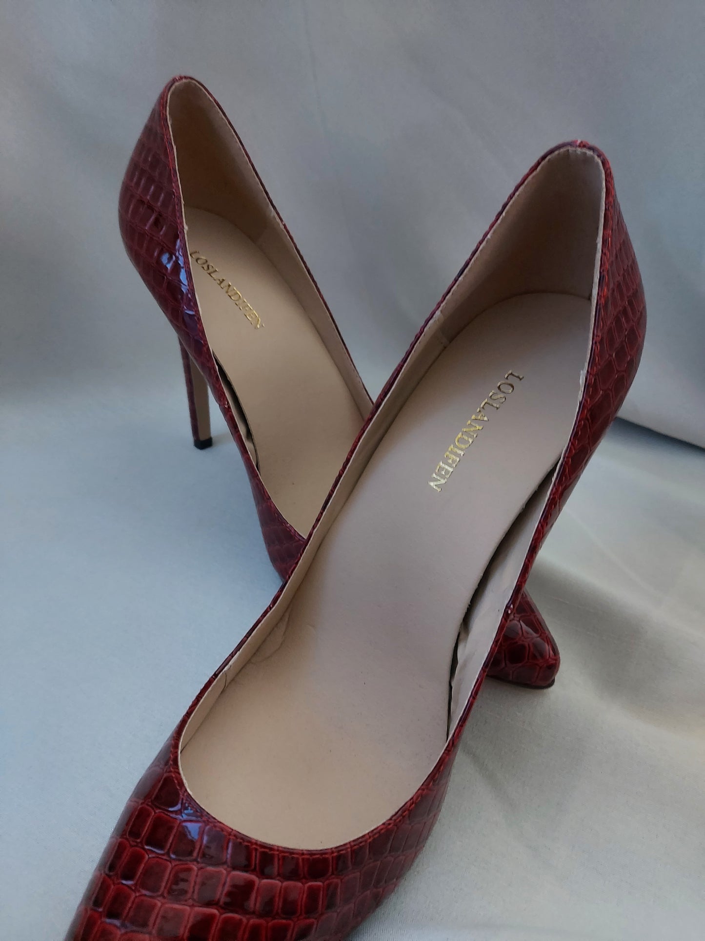 Talons rouge reptile